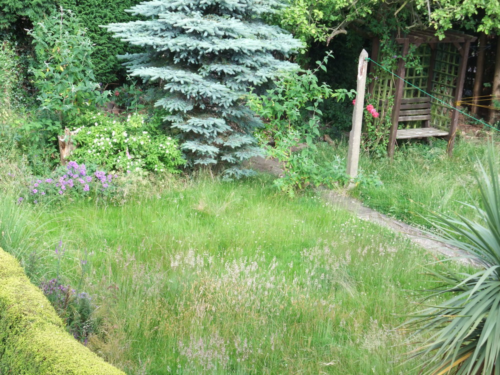 dscf6419.jpg